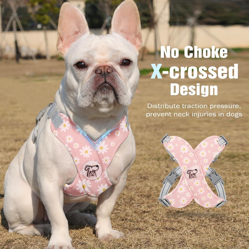 Pawaboo Small Dog Harness and Leash Set, Puppy Harness X-Frame