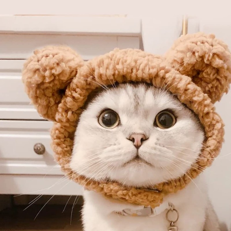 JOICEE Cute Cat Costume Warm Bear Hat Adjustable Soft Small