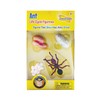 Ant Life Cycle Toy - 4 Piece Set Shows Life