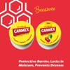 Carmex Pot Set – Classic & Cherry| Moisturising Lip Care