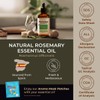 Gya Labs Rosemary Oil for Hair (4 fl oz) &