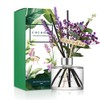COCODOR Lavender Reed Diffuser/April Breeze/6.7oz/1Pack / Home Fragrance Scent Essential