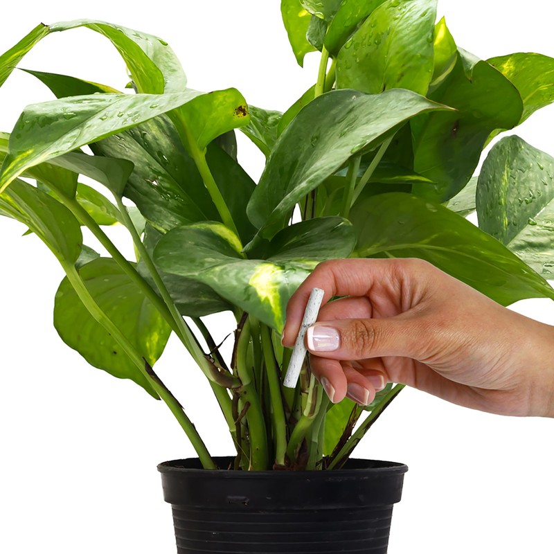 Jobe's Plant Food Fertilizer Spikes, Easy Plant Care for All