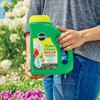 Miracle-Gro Shake 'N Feed All Purpose Plant Food, For In-Ground