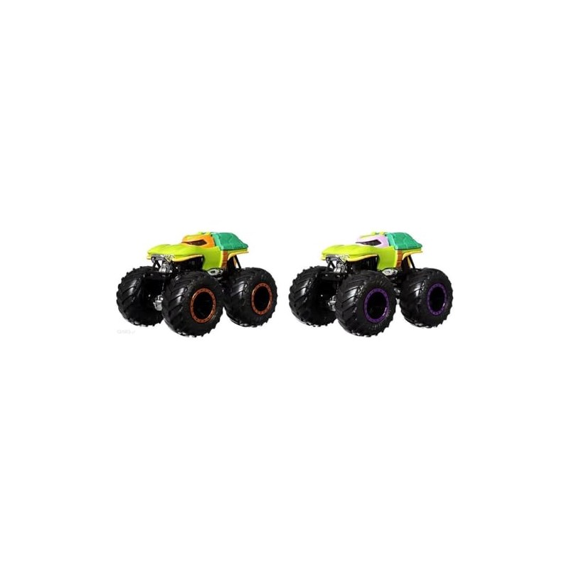 Hot Wheels Monster Trucks 1:64 Pack of 2 Michelangelo &