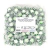 Starlight Spearmint Mints 2 Lbs Bulk Hard Candy Discs Approximately