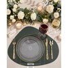 Nervure 100PCS Clear Gold Plastic Plates,Gold Disposable Plates Heavy Duty,Frosted