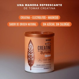 Birdman Creatine Refresher | Creatina Monohidratada con Electrolitos, Magnesio y Vitaminas | Golden Peach | 30 Porciones