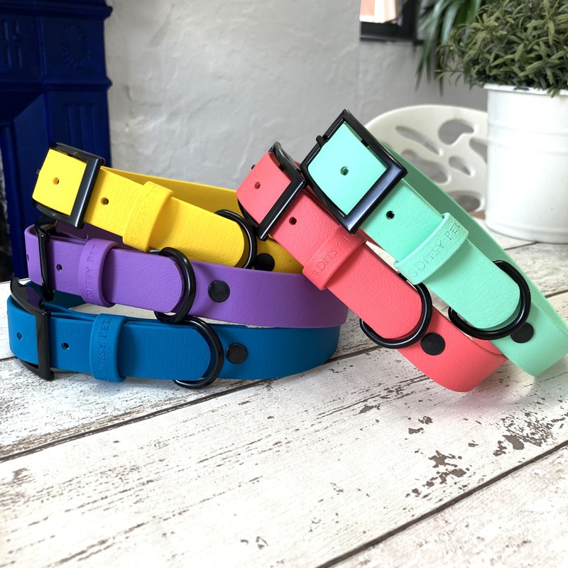 Waterproof Biothane Dog Collar Blue XXS