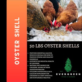 Evergreen Farm and Garden 12.5 lb Jug Oyster Shell - Calcium Rich Bird Grit (50 Pound (Pack of 1))