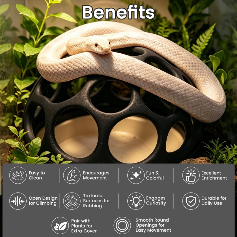 Snake Jungle Gym for Small to Medium Snakes, Medium Reptile