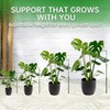 Yhtpouqe 3 Pack Extendable Plant Stakes, 16.5-42.5 Inch Plant Stakes
