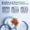 Irish Sea Moss Capsules With bladderwrack Supplemene Digestion Comfort 120Pc