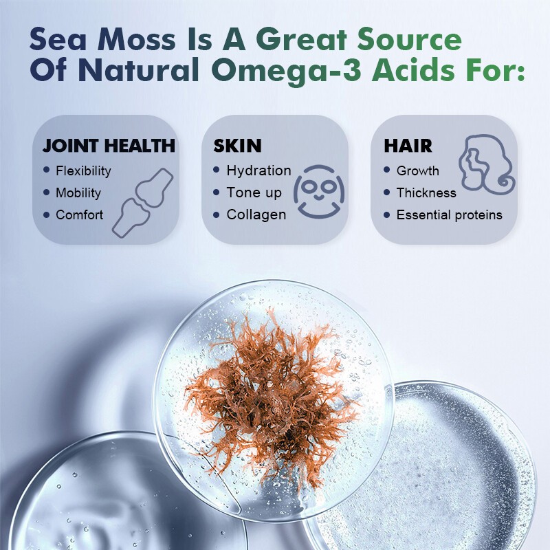 Irish Sea Moss Capsules With bladderwrack Supplemene Digestion Comfort 120Pc