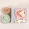 Needle Felting Cactus Kit -Desert Rose
