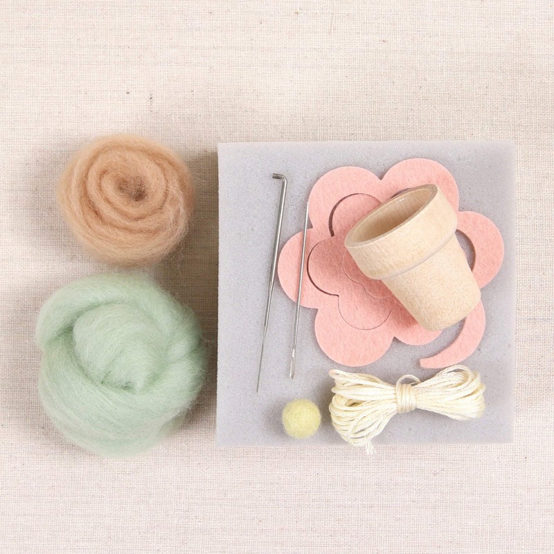 Needle Felting Cactus Kit -Desert Rose