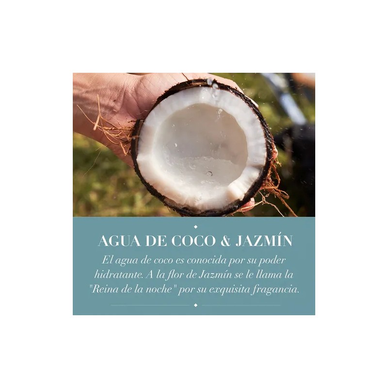 Shampoo Hidrata Agua De Coco & Jazmín 600 Ml Herbal