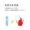 Sothepot Small (4.3 inches (11 cm) Red Coffee Pot Drip