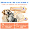 NATRIVIGA Freeze-Dried Probiotics for Dogs with Enzymes, Omega-3 & Zinc