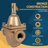 DearChan 1/2 in Bronze Tubular High Capacity Boiler Feed Water
