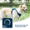 No Pull Dog Harness for Small Medium Large Dogs -
