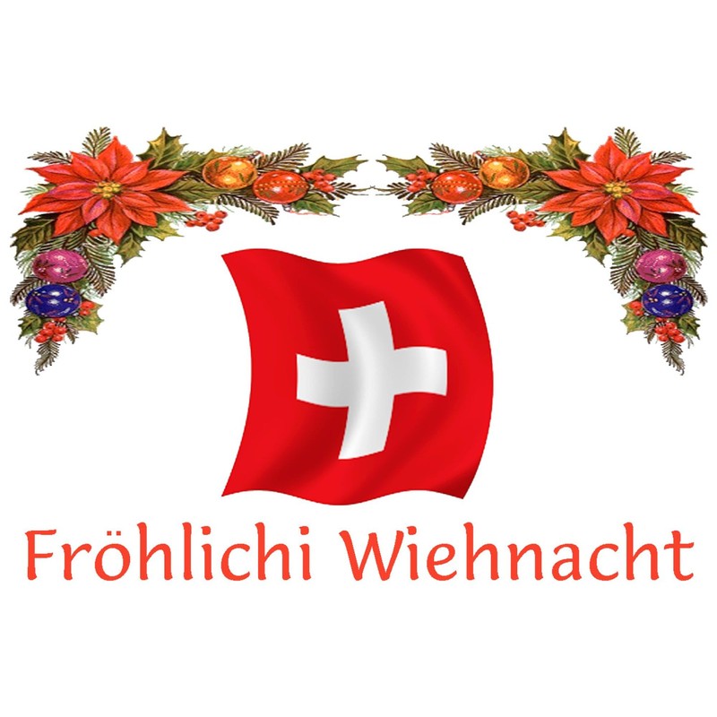 CafePress Swiss Frohlichi...2 Rectangle Magnet, 3"x2" Refrigerator Magnet