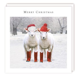 Tracks Publishing Charity Christmas Cards - Sheep with Wellies and Woolly Hats - Eco-Friendly - Pack of 5 Cards
