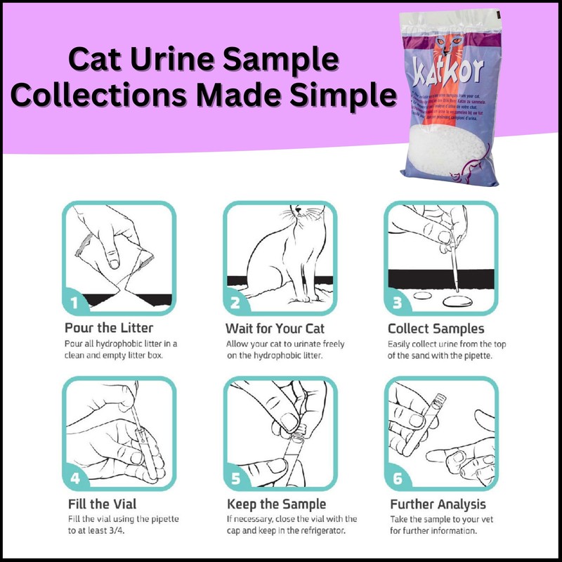 Katkor Urine Sampling Kit for Cats - 2 x Katkor