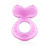 Nuby Fish Shaped Silicone Teether with Case for Babies 3