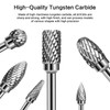 10 Pieces Carbide Burr Set, 1/8 Inch Shank Tungsten Carbide