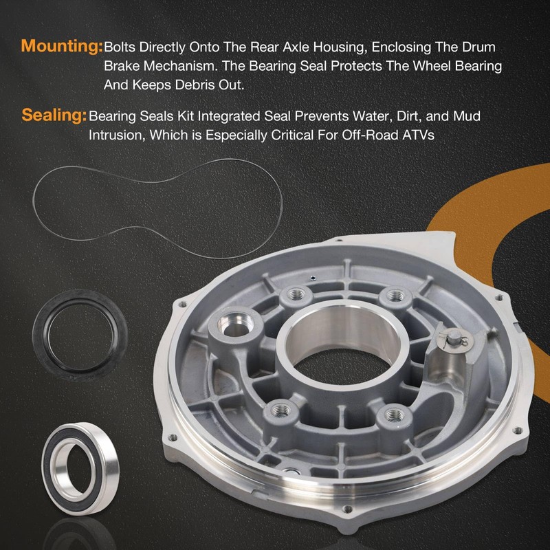 Rear Brake Backing Plate & Bearing Seals Kit Compatible with