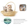 Pet Nipple Feeder Simulated 5 Silicone Nipples Food Grade Small