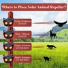 Solar Nocturnal Animal Repeller, Predator Control Light Animal Repellent for