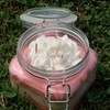Peaches & Cream Candle 18 oz Scented Decor