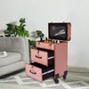 RibasuBB Rolling Makeup Train Case, Professional Makeup Trolley Case, Aluminum