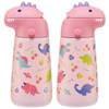 Skater SSH4D-A 3D Stainless Steel Straw Water Bottle, 12.5 fl