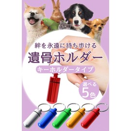 CROSSTALKER3 Cremation Key Holder for Pets, Memorial Keychain, Cremation Capsule, Silver