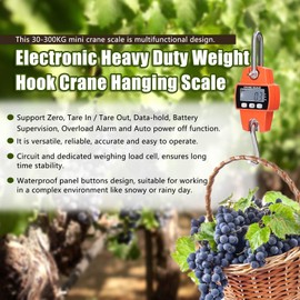 Electronic Weigher, Eacam Mini LCD Digital 30-300kg Portable Industrial Electronic Heavy Duty Weight Hook Crane Hanging-Scale
