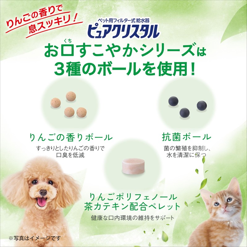 Gex Pure Crystal PON Dish, Gentle Mouth, For 30 Days,