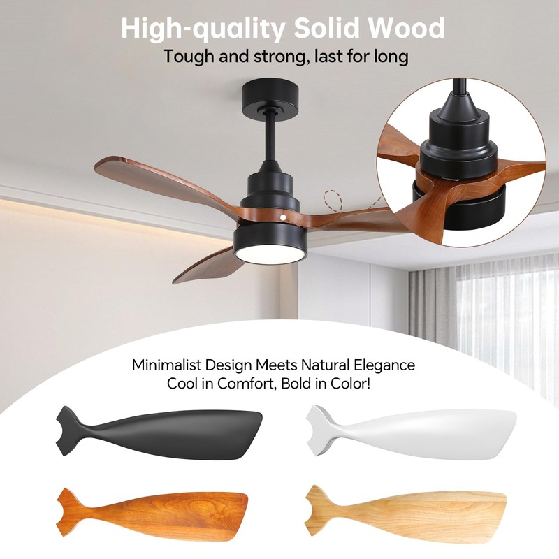 CACI Mall 48 inch Ceiling Fans with Lights, Smart Indoor/Outdoor
