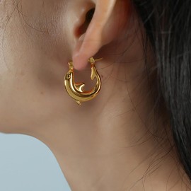 Niaspi Dolphin Hoop Earrings for Women 18K Gold Plated Stainless Steel Chunky Dolphins 20mm Small Huggie Hoops Earrings Jewelry Gifts, Stainless Steel, No Gemstone