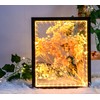 HanYun Shadow Box Frame with LED Light, Box Frames for