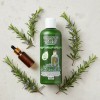 2 Shampoos De Romero Anti-caída, Fortalece, Nutre E Hidrata