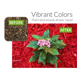 Peach Country Candy Apple Red Mulch Color Concentrate - 2,800 Sq. Ft. - Brighten Up Your Old Mulch Beds Easily with Our Premium Mulch Dye (1 Quart, Red)