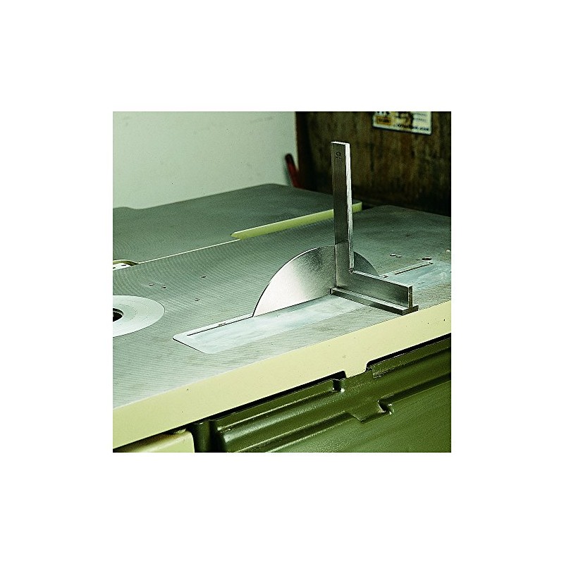 CMT 299.111.00 8" Table Saw Balance Blade & Sanding Disc