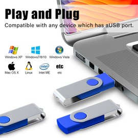 2GB USB Memory Stick 20 Pack Bulk USB2.0 Sticks Pen Drive Flash Drives (Blue wiht Lanyard)