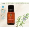 OLEUM VITAE Aceite Esencial de Romero Rosmarinus Officinalis 100% Puro
