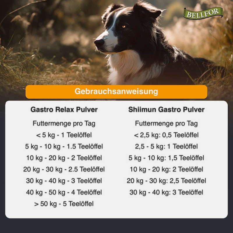 Bellfor Natural Food Supplement for Dogs with Digestive Problems Gastro