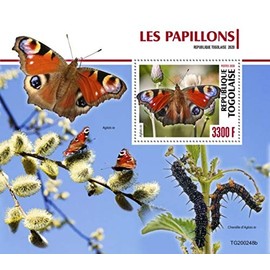 Togo - 2020 Peacock Butterflies - Stamp Souvenir Sheet - TG200248b
