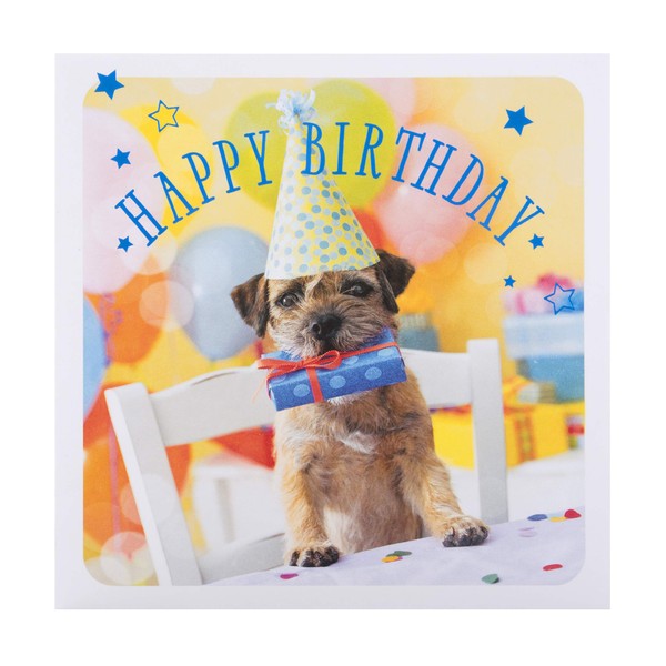 Hallmark Birthday Card - Cute Photographic Design